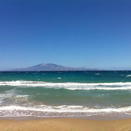 Psarou - Flower Of The Levant