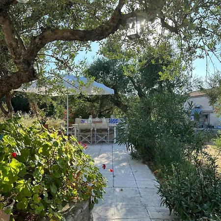 Psarou - Flower Of The Levant Psarou (Zakynthos)