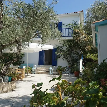 Psarou - Flower Of The Levant Psarou (Zakynthos)