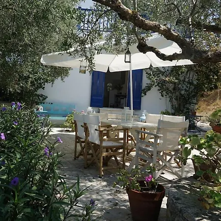 Psarou - Flower Of The Levant * Psarou (Zakynthos)