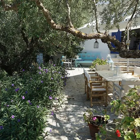 Βίλα Psarou - Flower Of The Levant Psarou (Zakynthos)