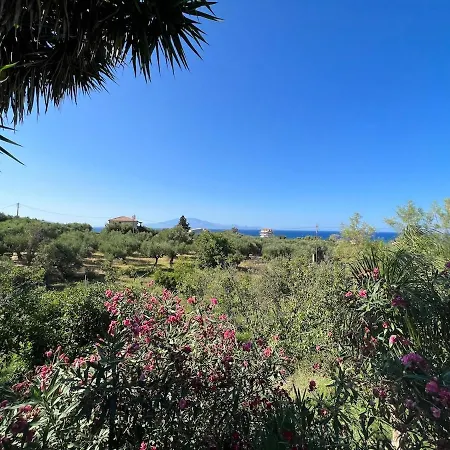 Βίλα Psarou - Flower Of The Levant Psarou (Zakynthos)